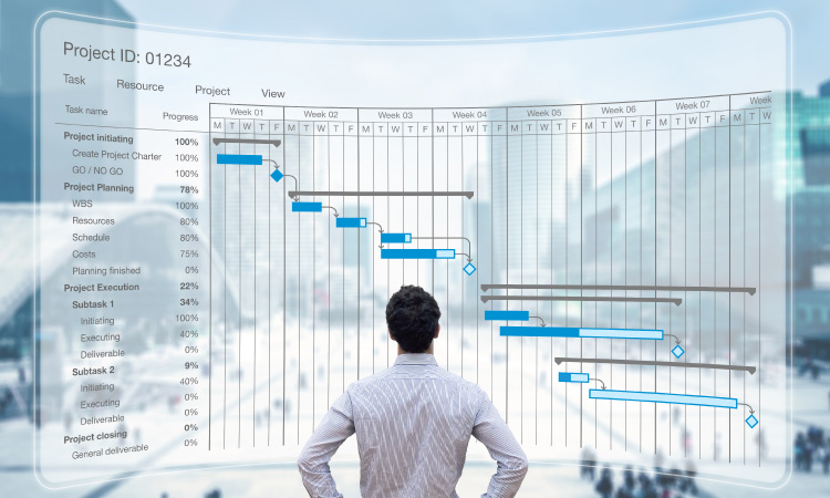 Image showing a man standing in front of a huge display of a gantt chart to track projects