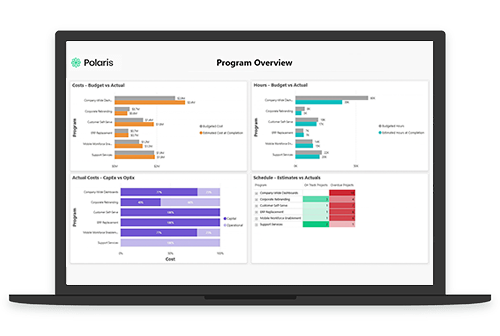 Polaris PPM Business Analytics