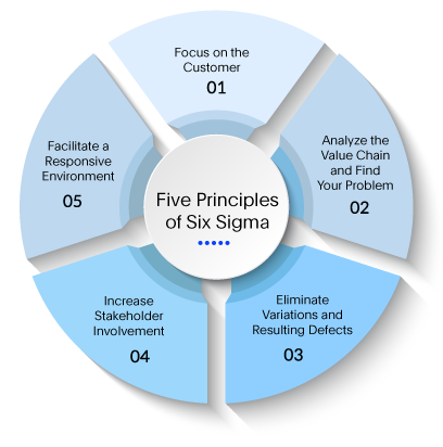 Five principles of six sigma method shown on a colored wheel